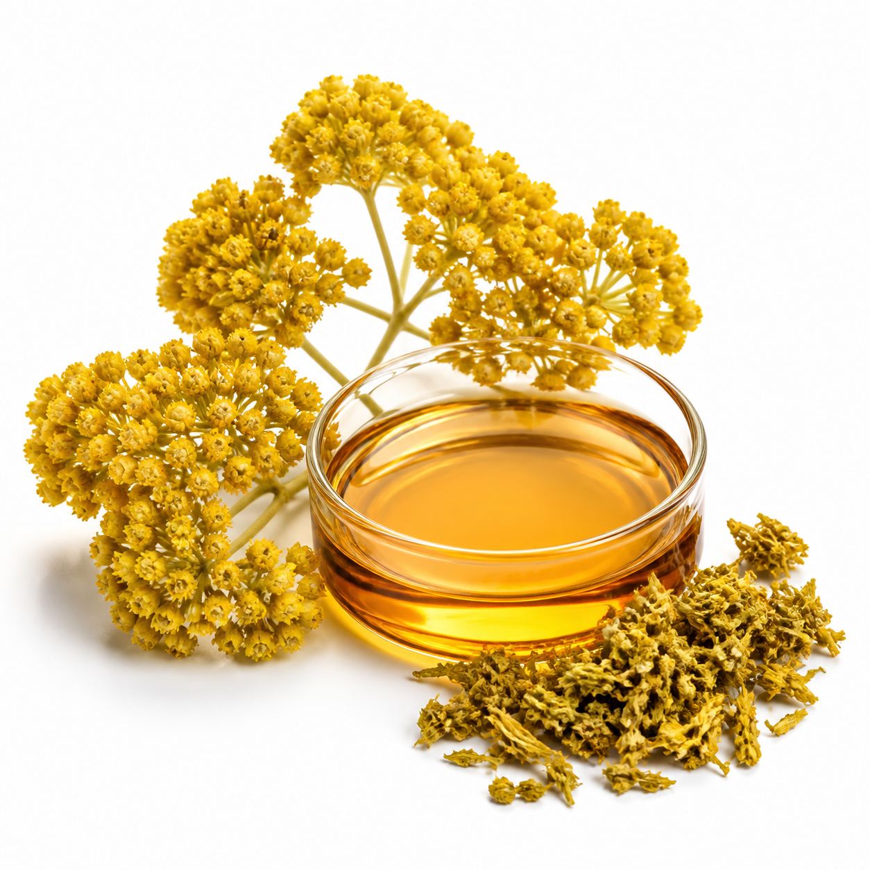 Chrysin ingredient